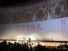 -天幕新彩云国际影城(激光巨幕店)