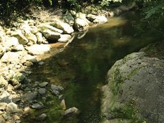 -少华山国家森林公园