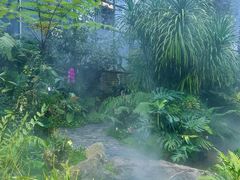 -东莞植物园
