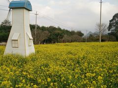 -南宁花花大世界景区