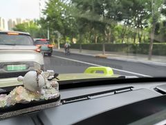 -南翠屏公园