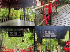 -呀诺达热带雨林