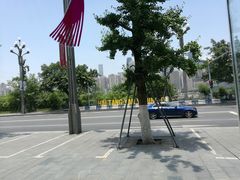 -张鸭子大酒楼(南滨路店)