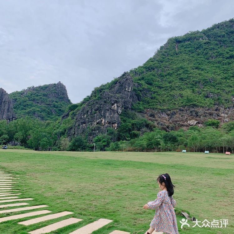 置身花海小火车