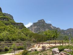 -王莽岭风景区