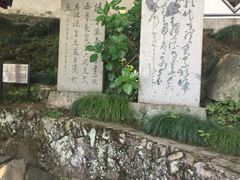 -严子陵钓台(富春江小三峡)