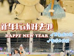-冰纷万象滑冰场(沈阳万象城店)