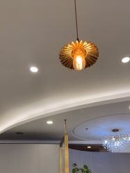 -八佰伴8008星级形象店