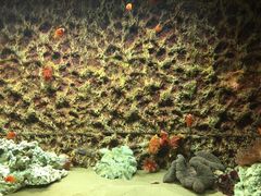 -北戴河圣蓝海洋公园