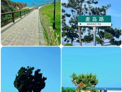 -小麦岛公园