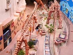 -陕西自然博物馆