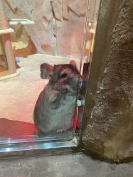 点击看大图 -宝燕乐园(闵行旗舰店)