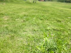 -黄陂区野村谷景区