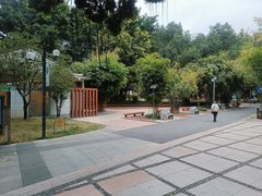 -晓港公园