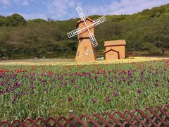 -苏州上方山国家森林公园