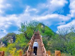 -大岭沟猕猴桃谷风景区