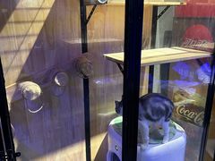 -瞳·实景密室逃脱(护国店)