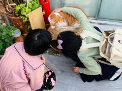-小时光咖啡馆(北锣鼓巷店)