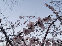 -三里河公园