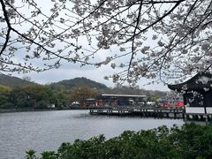 -西湖游船