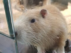 -昆明大悦城未来动物城(螺蛳湾中心店)