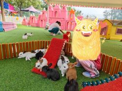 -萌宠亲子动物乐园(槐房万达店)