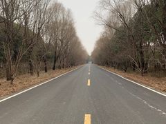 -同里国家湿地公园