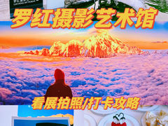 -罗红摄影艺术馆