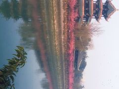 -望江楼公园