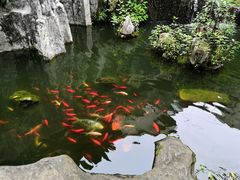 -昆明动物园