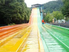 -重庆海昌加勒比海水世界