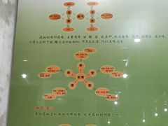 -广东中医药博物馆
