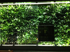 iphone_upload_pic-上海中谷小南国花园酒店