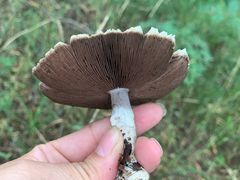 -蒲河岛湿地公园