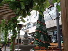 -Paulaner·德国帕拉娜自酿啤酒餐厅(海上世界店)