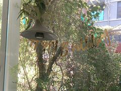 -春树下·树屋花房西餐厅(罍街AS1980店)