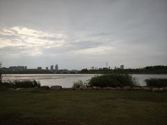-九龙湖公园