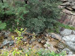 -泰山风景名胜区