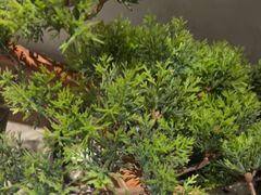 -百富源·海鲜辽菜(和平北大街店)