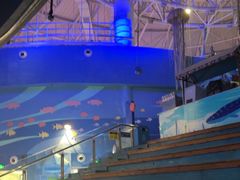 -烟台海昌鲸鲨海洋公园