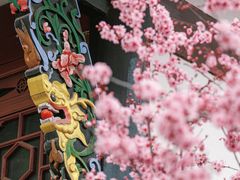 -青羊宫