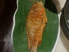 -蔼若春.传承三十年云南菜(金碧公园店)