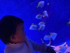 -沈阳海洋探索中心