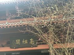 -三峡梯城