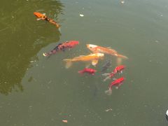 -口岸雕花楼