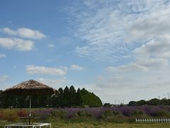 -嘉北郊野公园