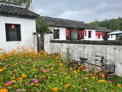 -溱湖国家湿地公园