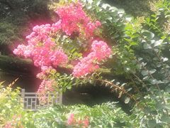 -晓港公园