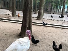 -南京金牛湖风景区