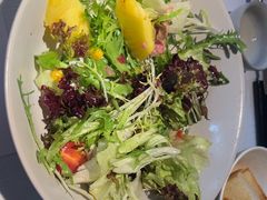 -春树下·树屋花房西餐厅(罍街AS1980店)